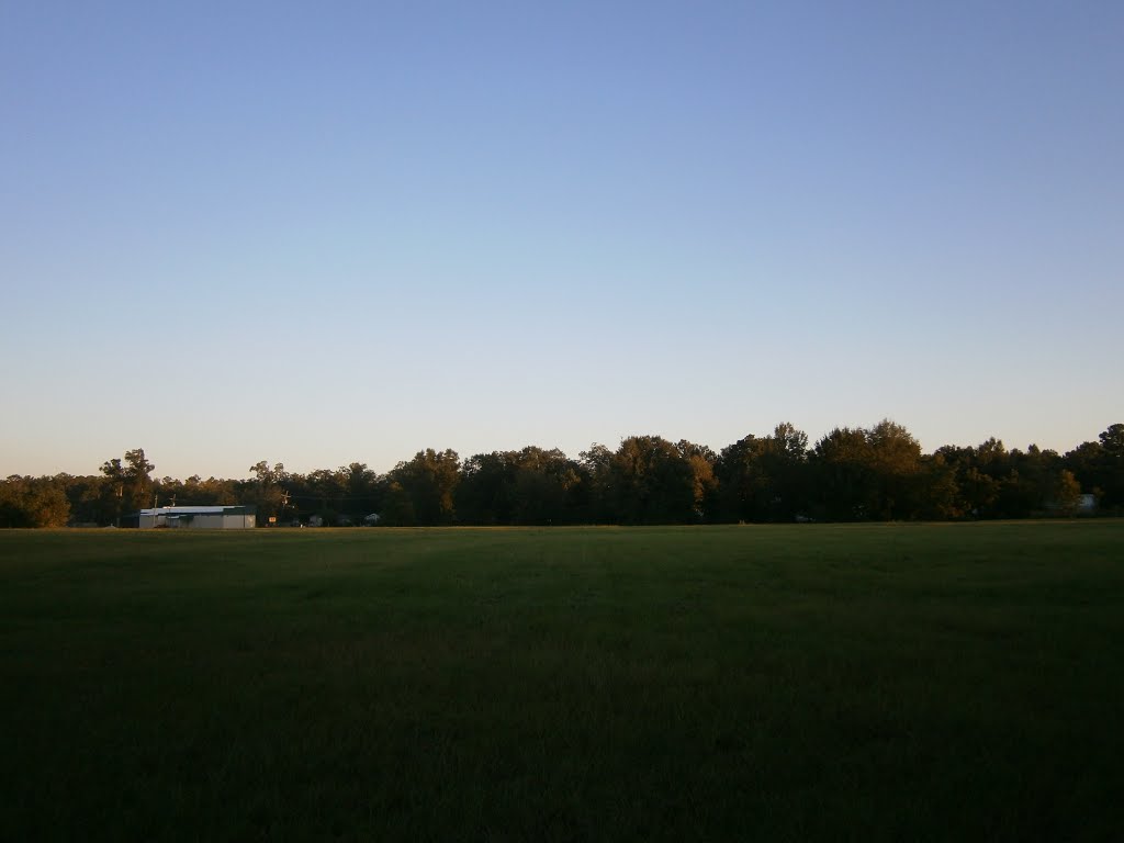 Field in Hammond by Aaron Manning