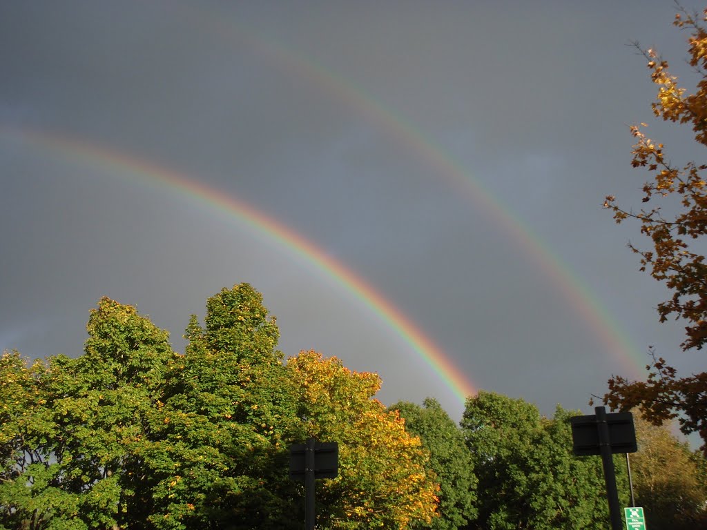 Pot of gold by MarkGovier