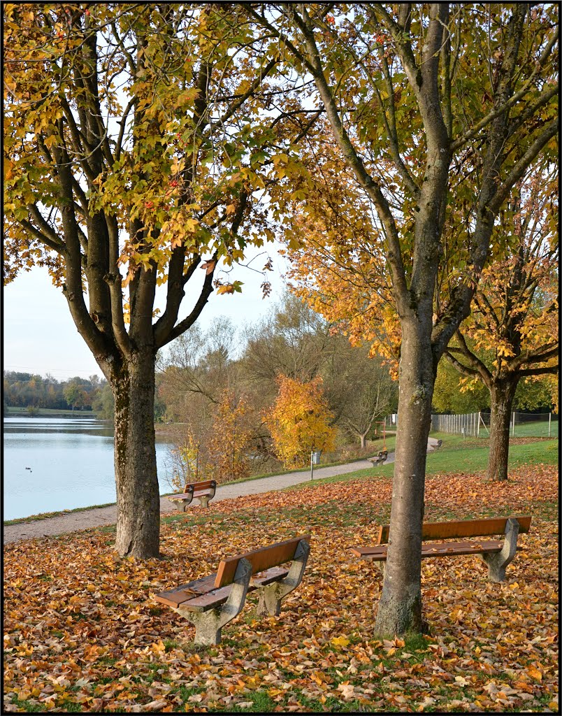 Oedtersee - Herbststimmung by Steidl Normann