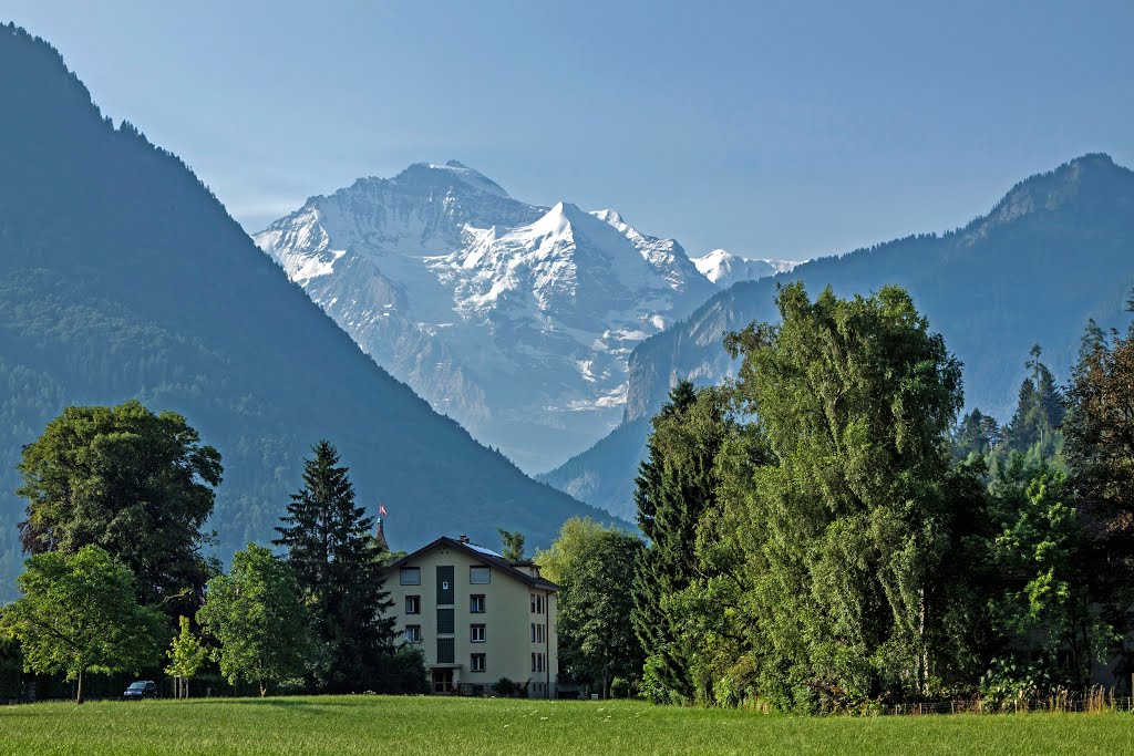 Mt. Jungfrau, wiev from Interlaken, Switzerland by David Guruli