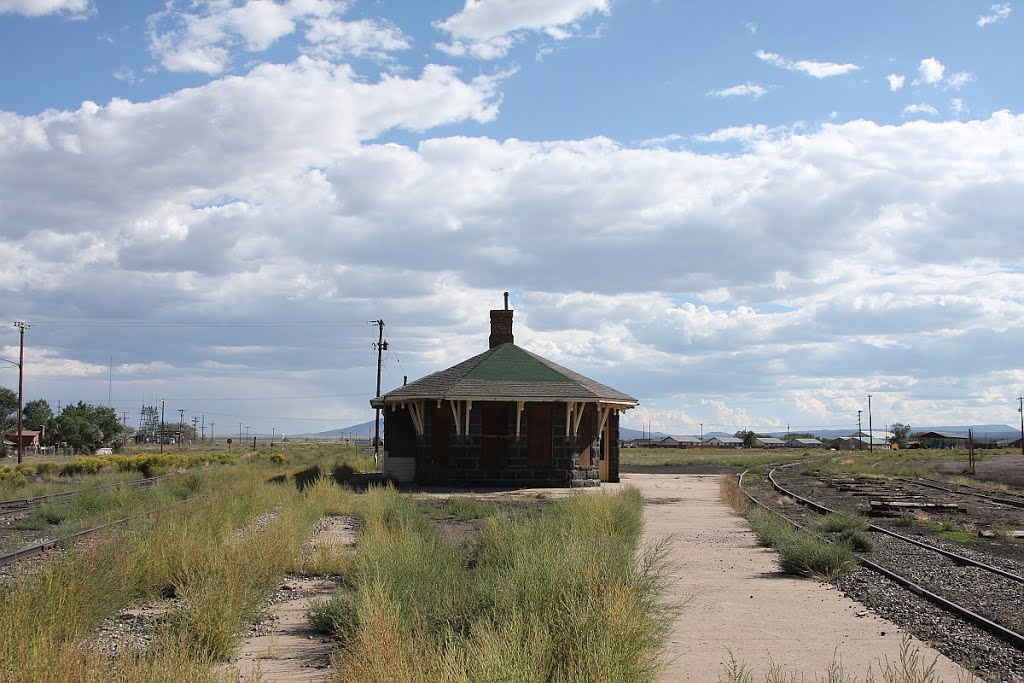 Rio Grande Depot Antonito by Railroadpics