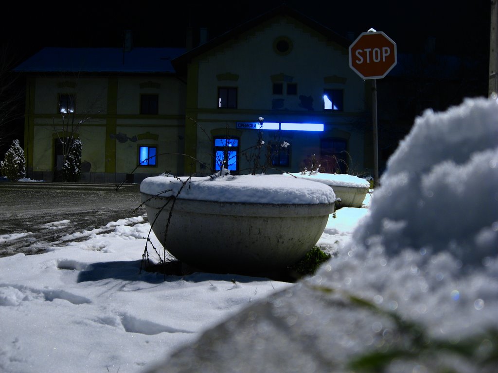 Zeleznicka stanica Sremski Karlovci by Panoramkoo