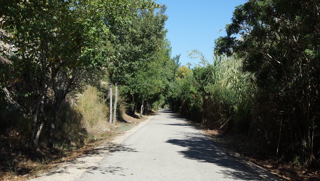 Via Verde Baix Ebre, Benifallet - Tortosa by velofranz