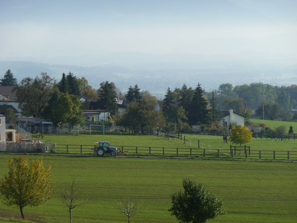 Landschaft bei Oberwil by bienenritter