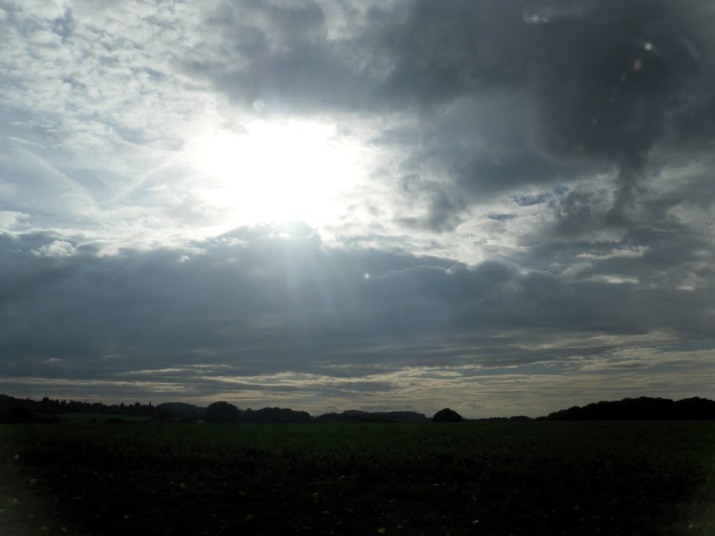 Herbstsonne by ©Elisabeth van Langen