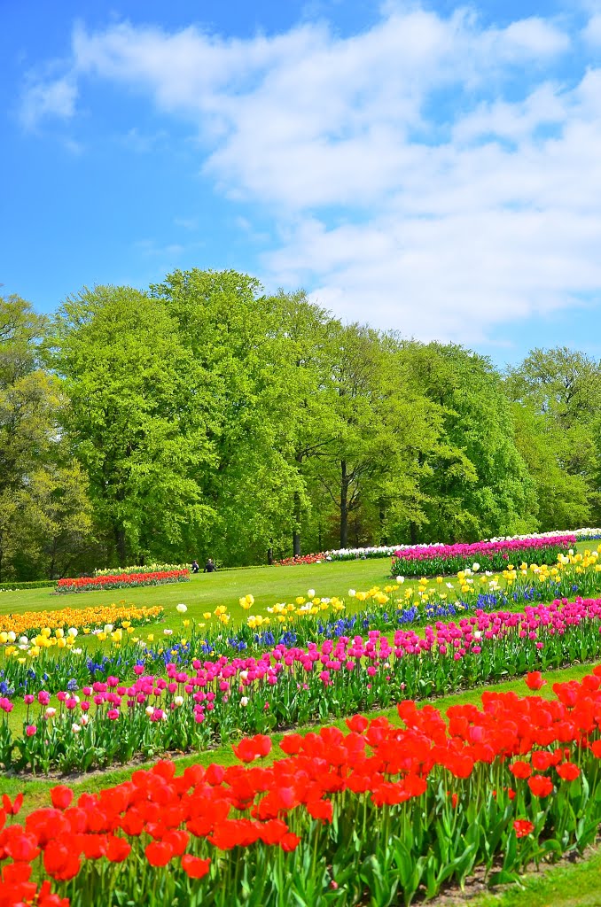 Flower Show in Groot-Bijgaarden by Alexander Brizhinyov