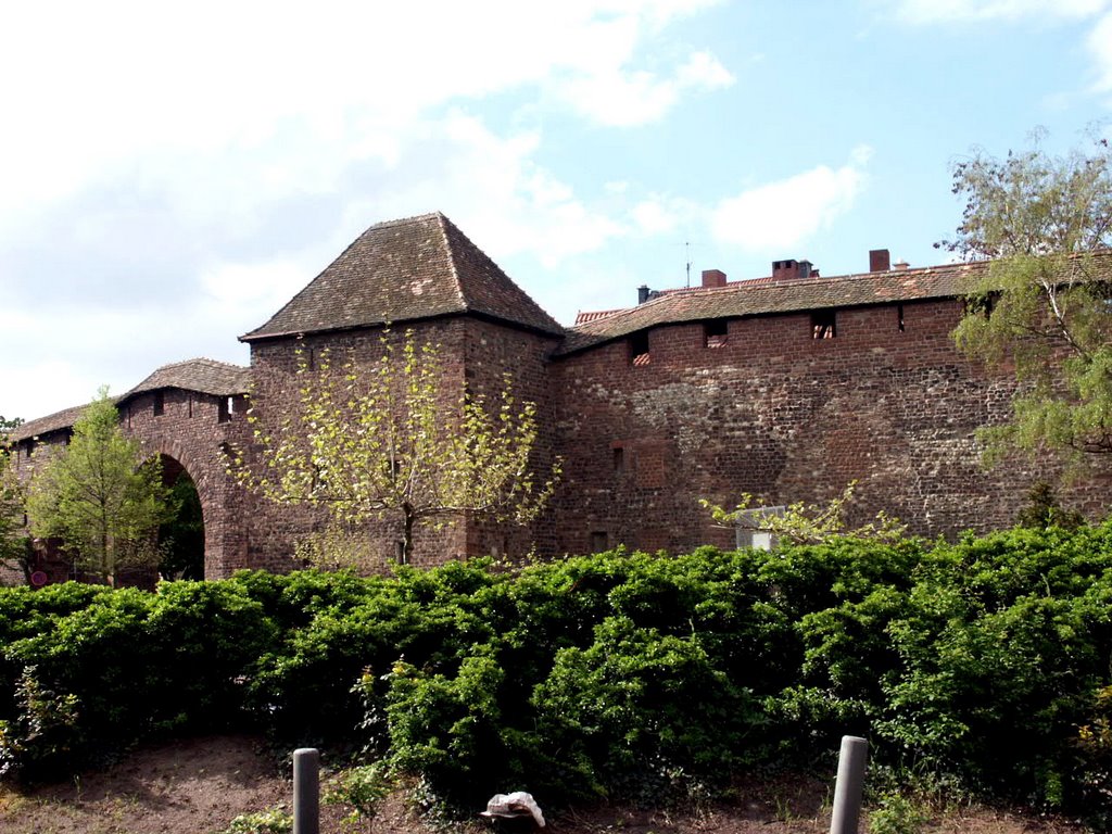 Eine starke Mauer / Berliner Ring by Peter W. Ehl