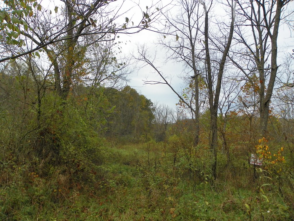 Rural Noble County, Ed Reed Road by MikeFromholt