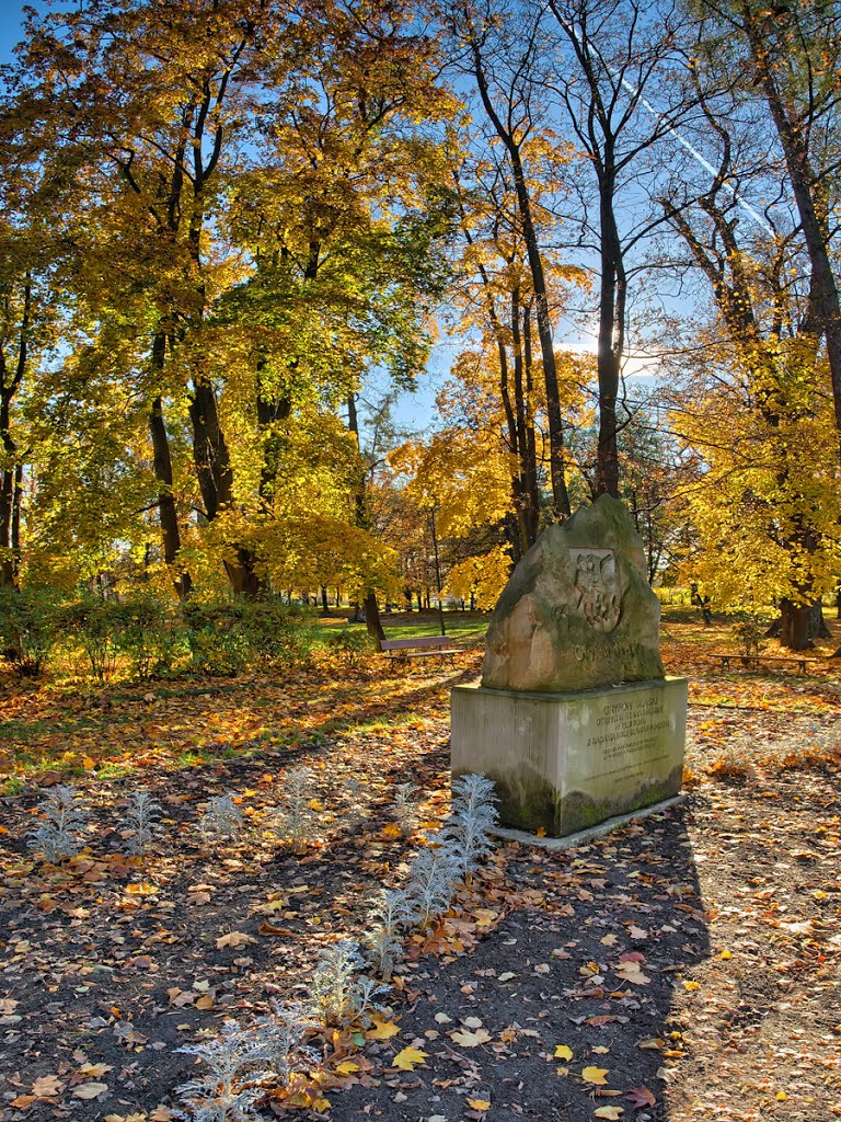 Statue of granting municipal rights in Gryfów. by robertgrzelczak