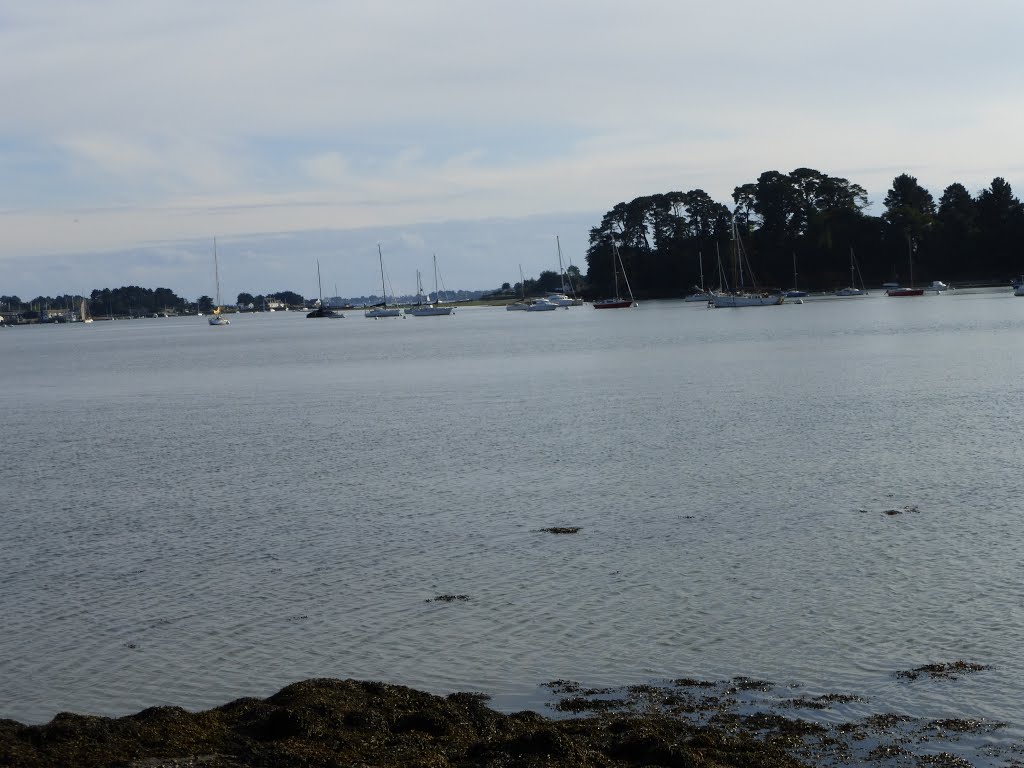 La riviere d'auray au bono by gisou56