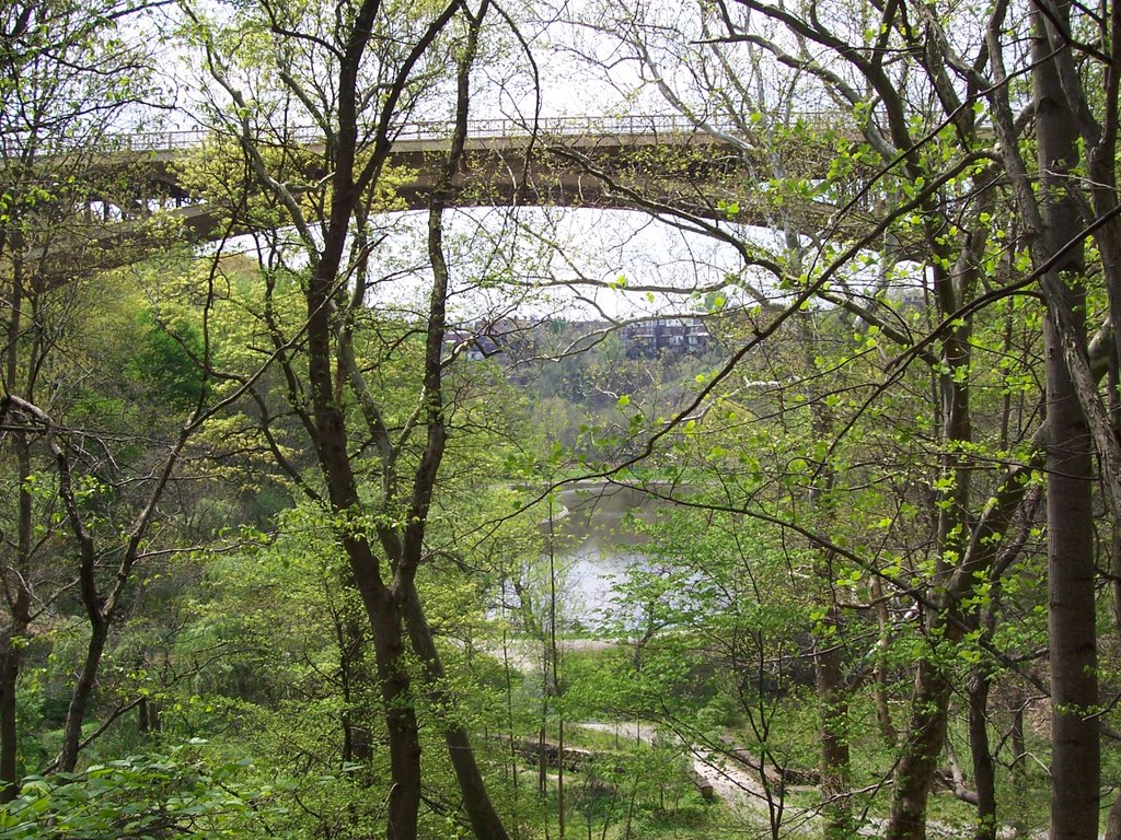 Panther Hollow from Schenley Park by smgilroy