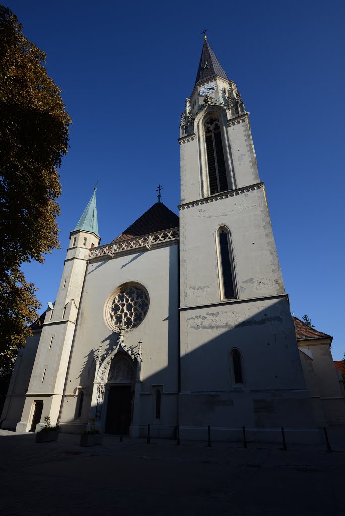 Korneuburg, Pfarrkirche Hl. Ägydius by Manuela Gößnitzer