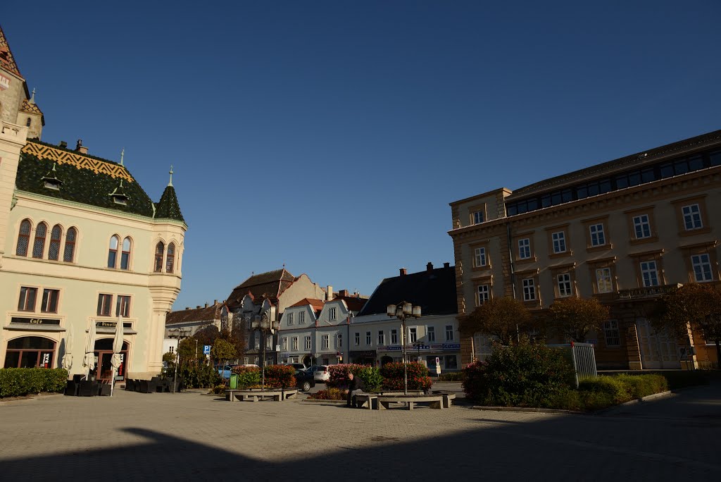 Korneuburg, Hauptplatz by Manuela Gößnitzer