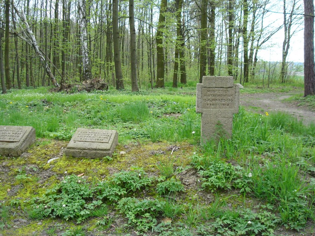 Witkowice "Pustułka" - Cmentarz żołnierzy niemieckich i rosyjskich 1914-1918 - Bitwa Łódzka (1914) / Witkowice – War cemetery of German and Russian soldiers fallen in Battle of Lodz (1914), one of the biggest battles of 1stWW by Subjective Lodz