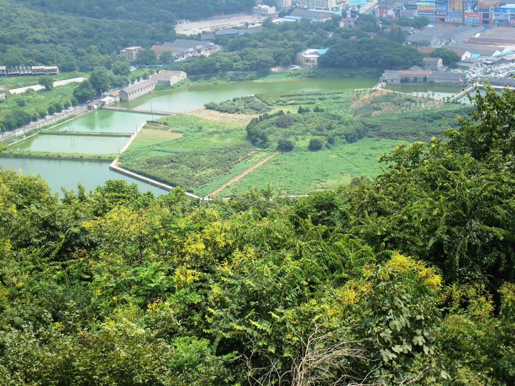 Yinyang in hangzhou 阴阳 在 杭州 by shienlai