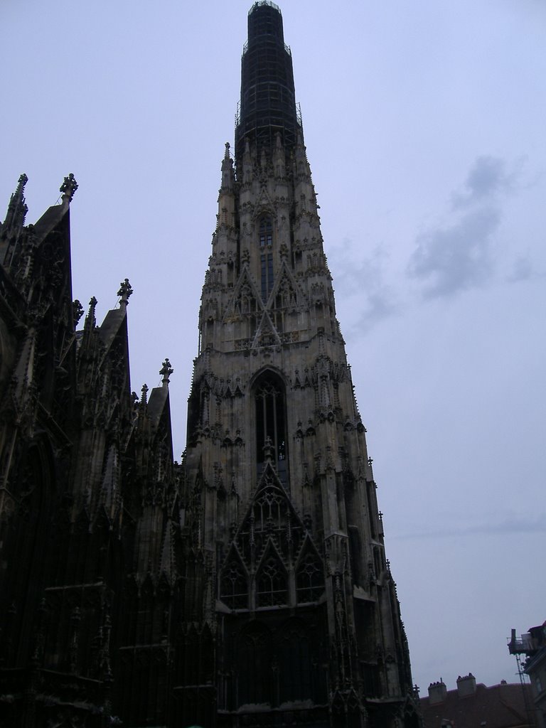 Stephansdom, 1010 Wien, Austria by iordan