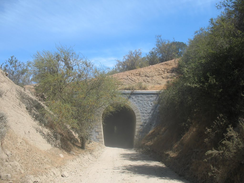 Entrada Norte Tunel Recto (MH) by maul_cl