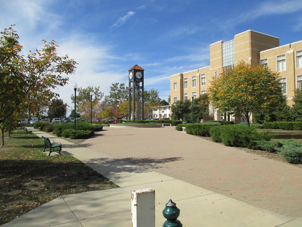 Eastern Illinois University by Shylos10