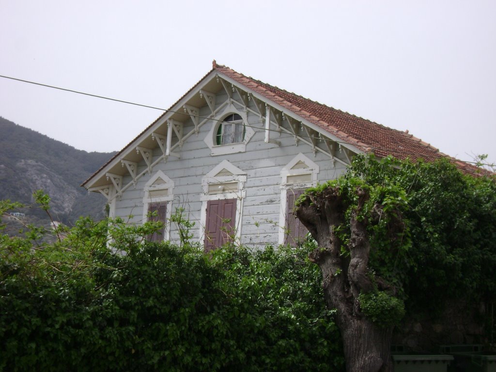 Wooden strange house_El.Venizelou str. Mytilini by KostasLoukis.mytil