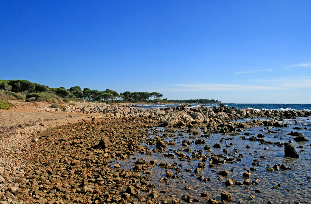 Cannes : île Ste Marguerite, côte ouest by François Madic