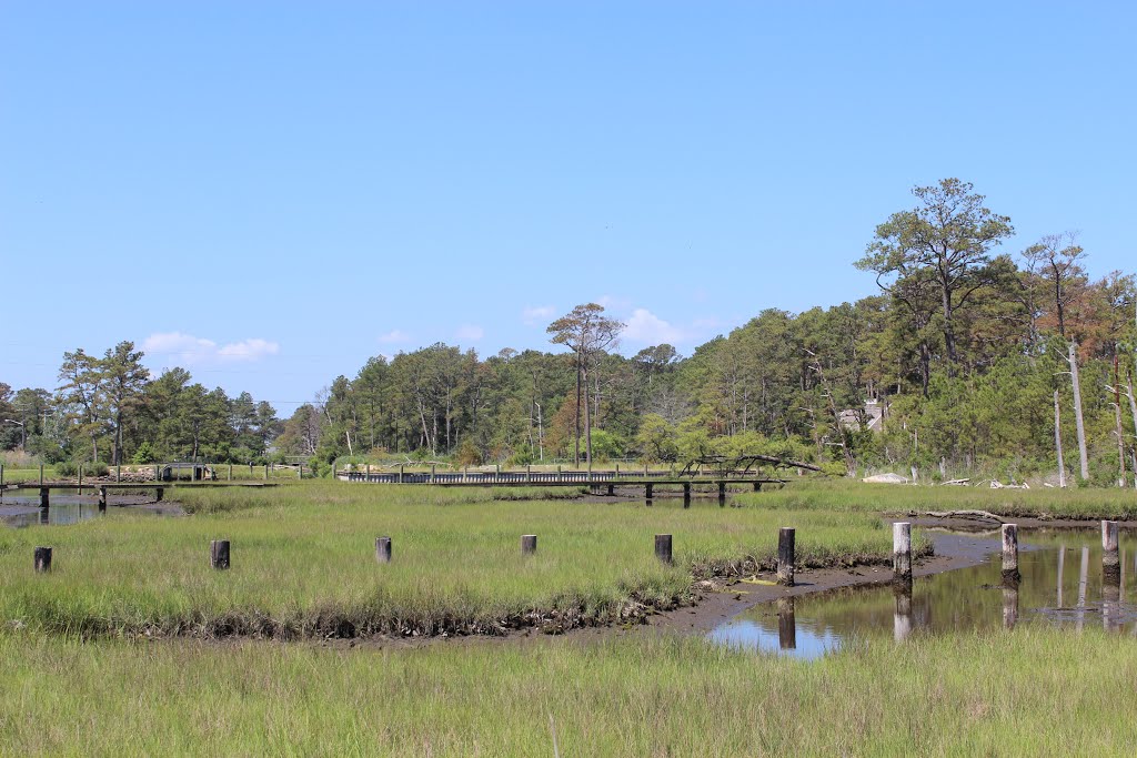 Chincoteague Island, Virginia by by niro