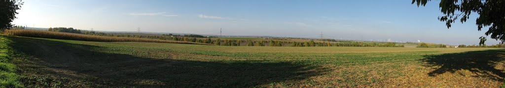 Südrand der Leipziger Tieflandsbucht by Elsterwolf