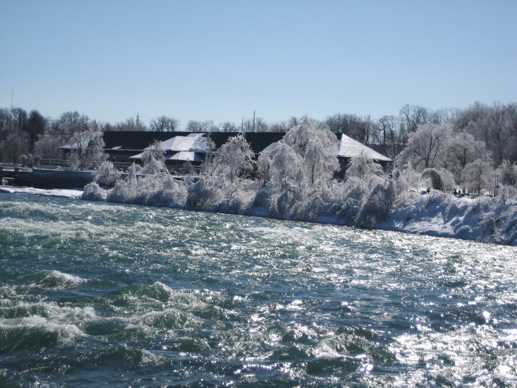 Snowy trees close the Niagara Falls. by Roberto Lam