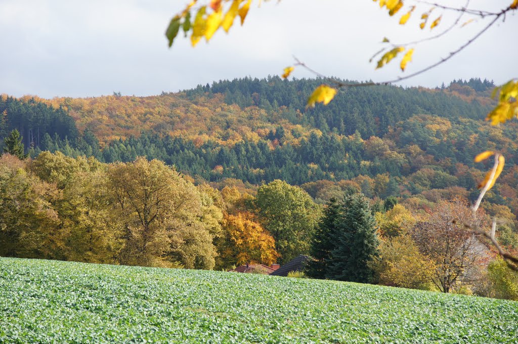 Herbst by Jürgen Düring