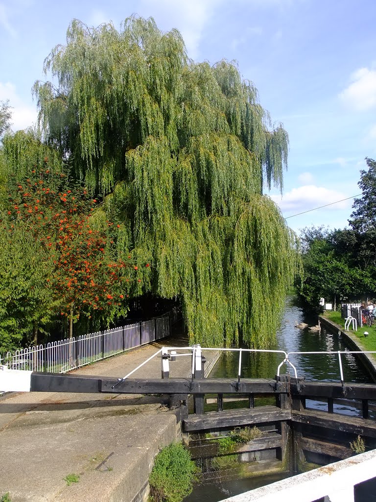 Grand Union Canal Batchworth Lock by Peter Gooding