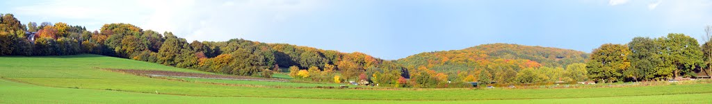 Herbstwald by 14MAN02