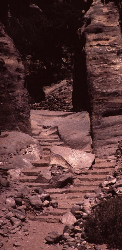 Petra Steps by christopher vincent