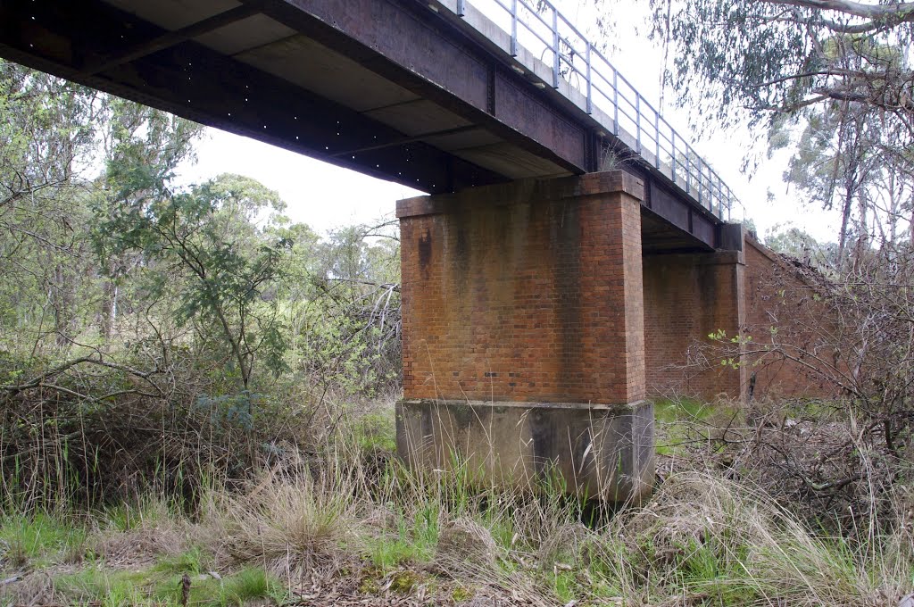 Underneath an old rail bridge on the Murray to the Mountains Rail Trail by snucklepuff