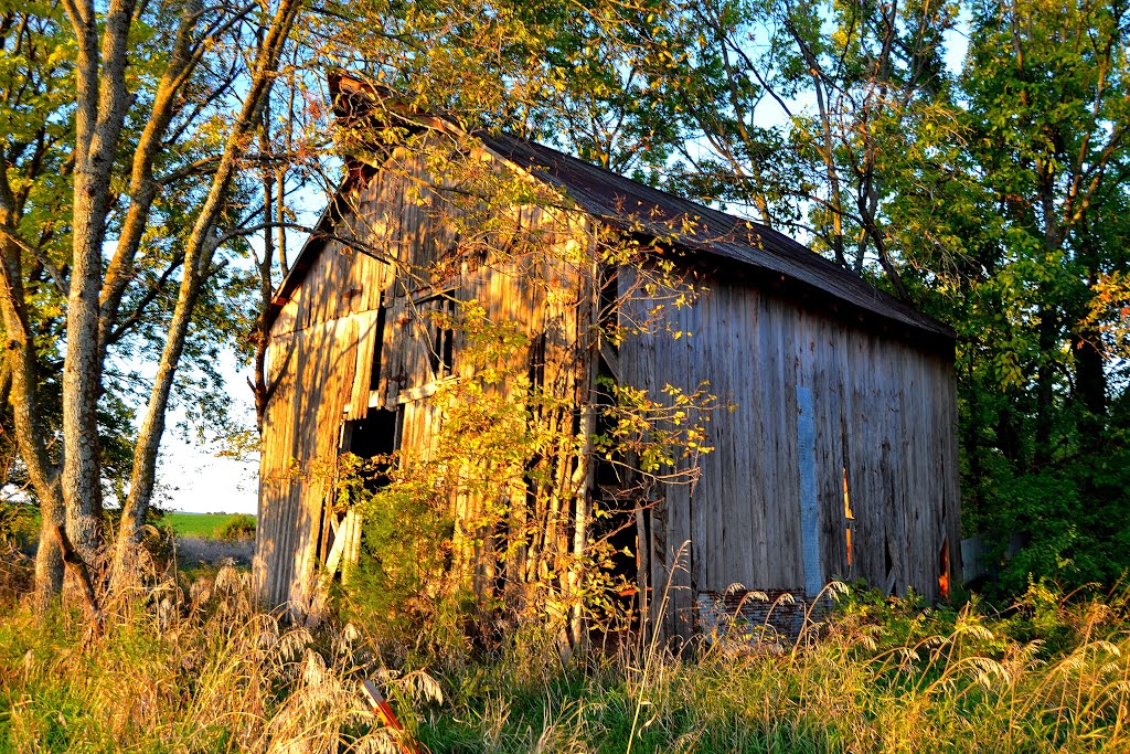 Old Barn near Lawrence KS by Juan Brown