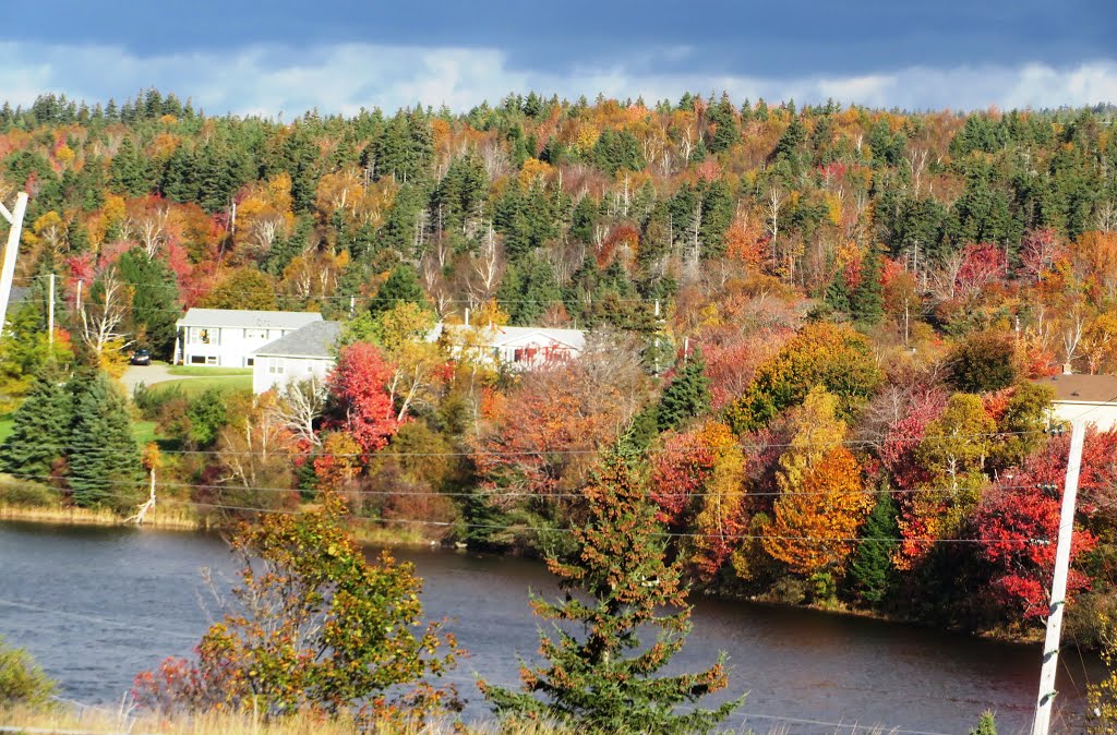 Embrees Pond, Port Hawkesbury, NS by gbrojges