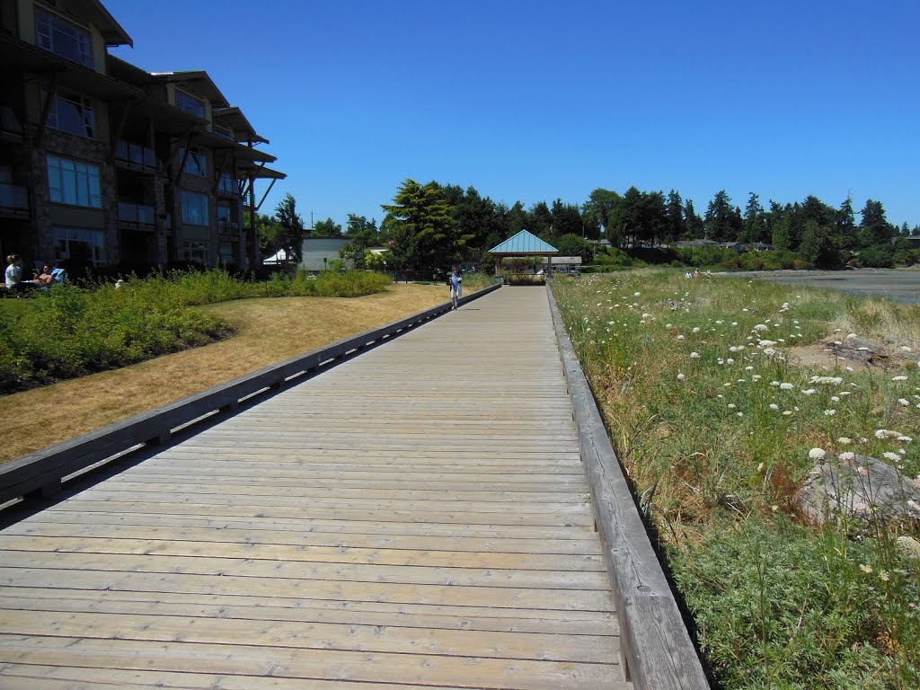 Along the Beachfront Walkway (Parksville, BC) by bio2935c