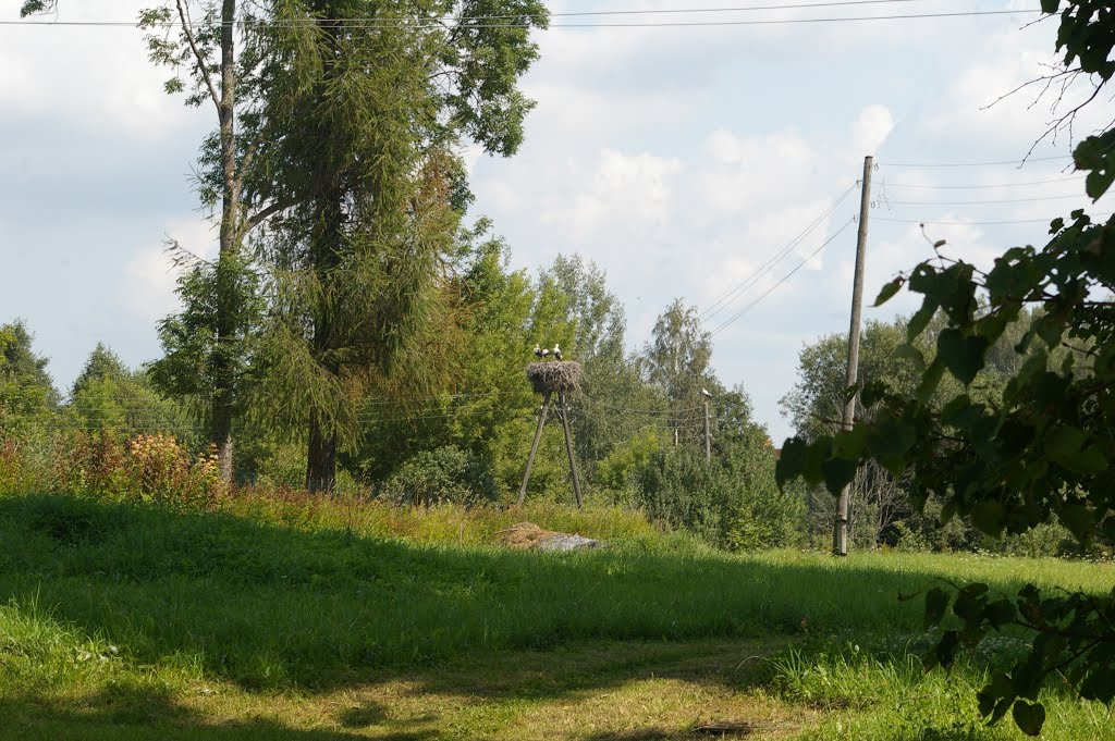 Айзкалне.Гнездо аистов возле православной церкви. 2012-07-26 by Ткаченков Владимир -(veloturrist)st