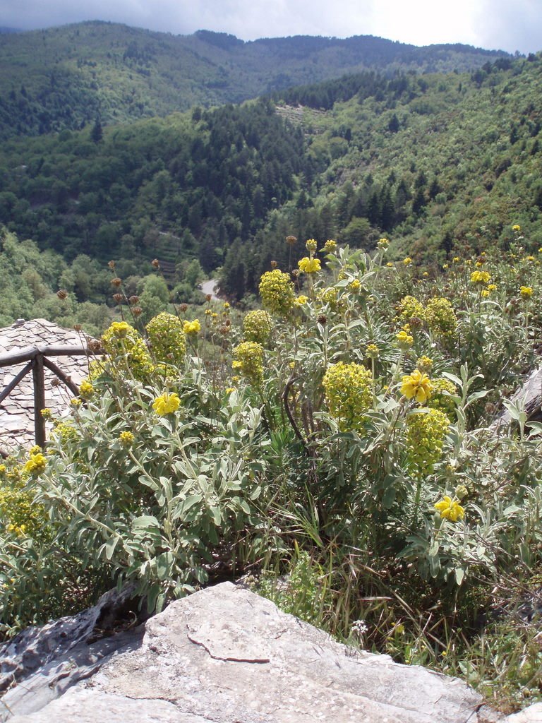 On the path to Kastanitsa Castle by j.papadakis