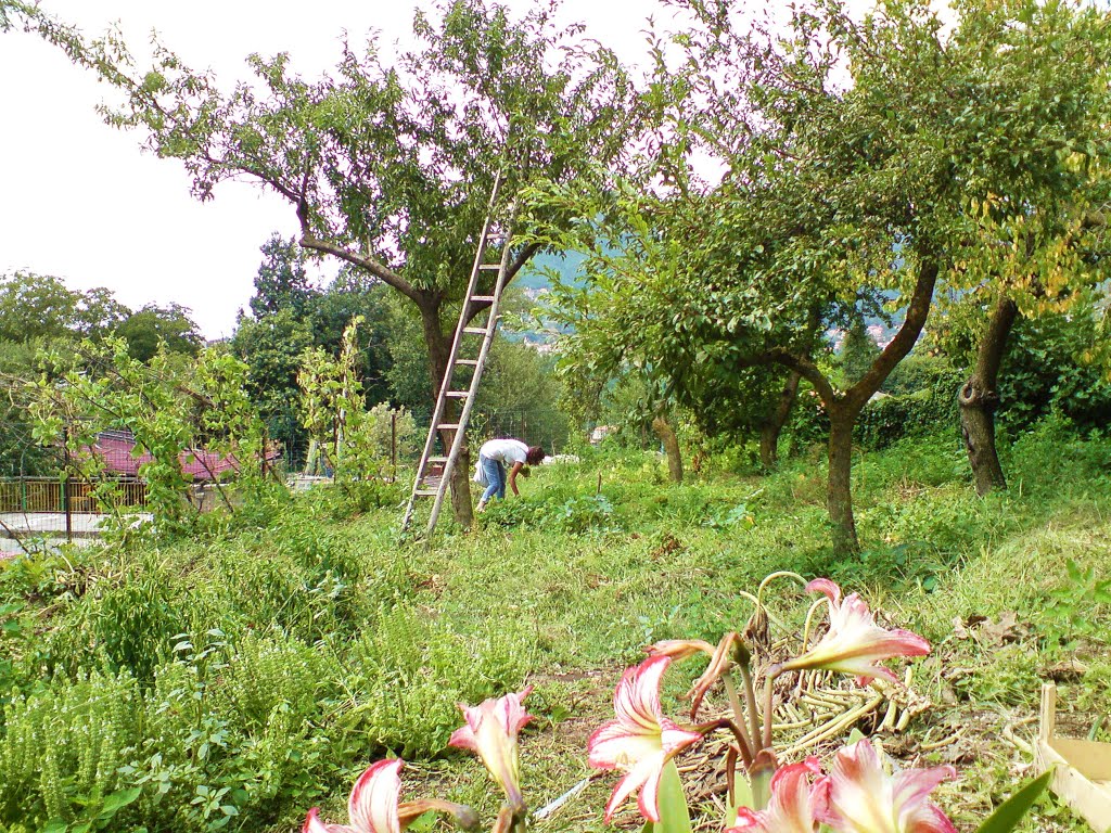 San Lazzaro , local garden ... by Michael Caine