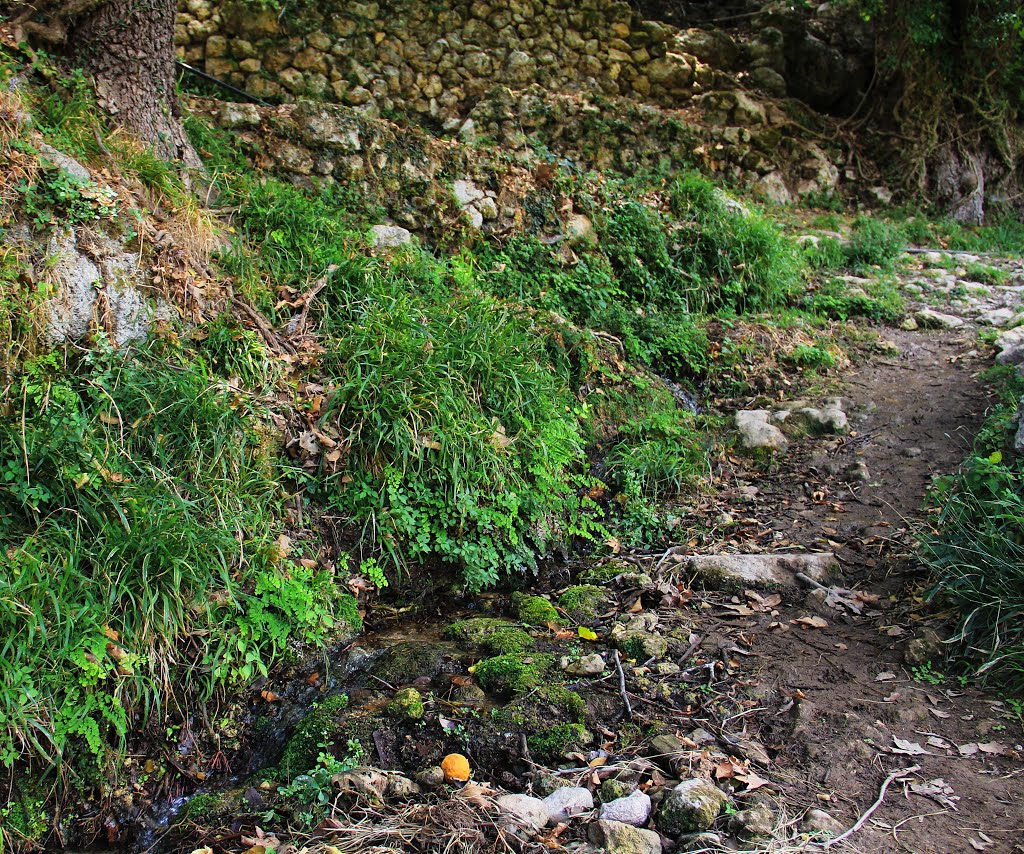 Gorge, lonely village, mountains, foot walk. by Aleksey Voronov