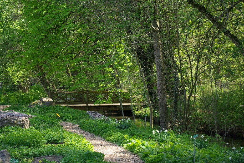 Grüne Oasen im Botanischen Garten Augsburg by JML_AGB