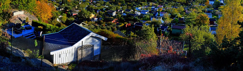 Kolonihagen - Kristiansand by stig.berge