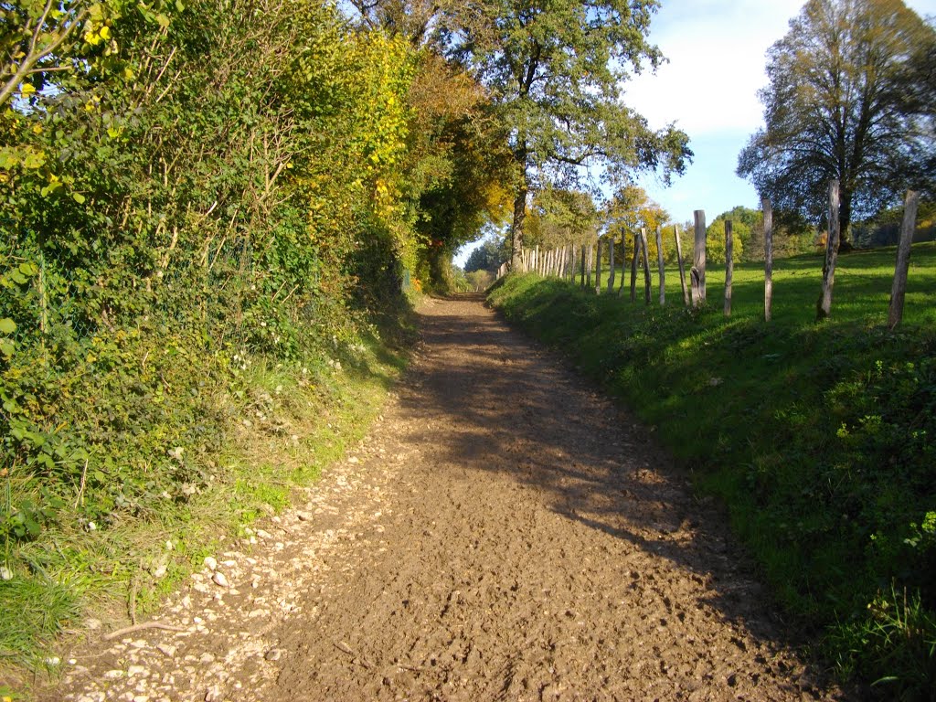 Chemin de la Couana à la sortie de Villers-St-Martin by Claudius B.