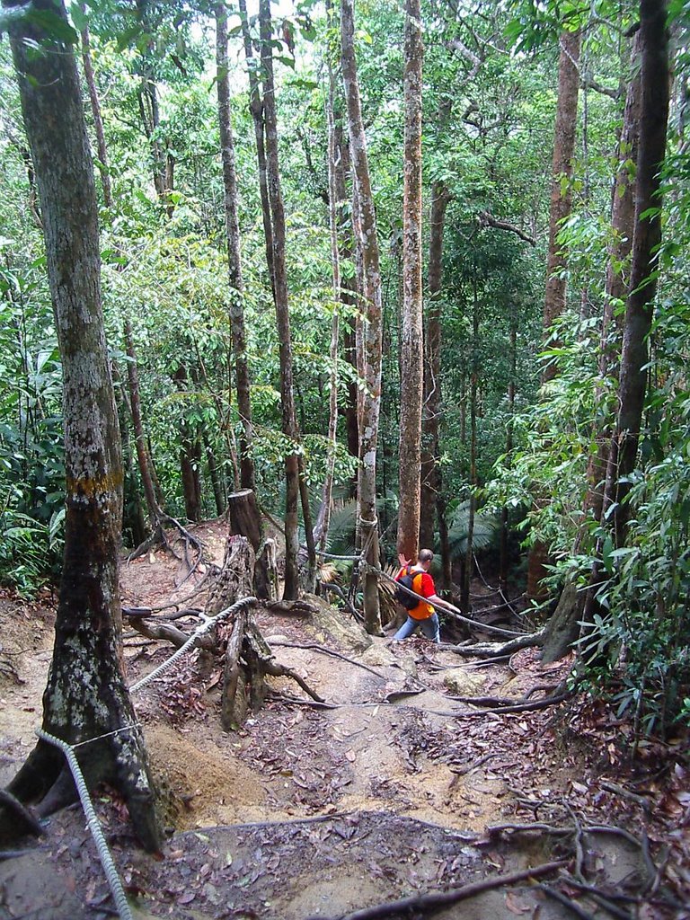 Lumut Trek Merentas Hutan 3 (2004-08) by arco_on_tour