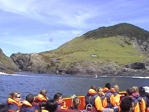 Cape Brett Lighthouse, Bay of Islands, New Zealand by Chapman