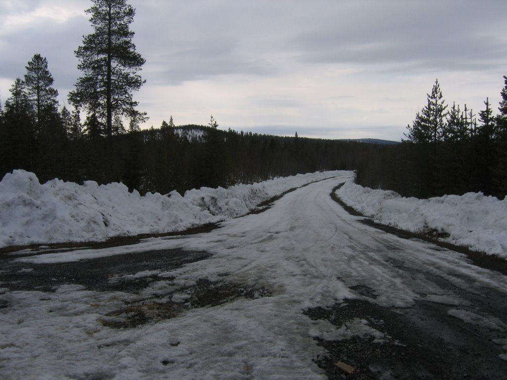 Muddy Piettarasjärvivägen in spring by Gerrit Holl