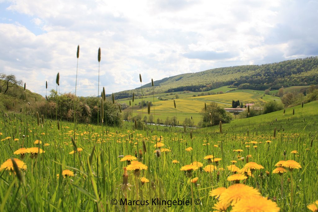 Ausblick by Fotofix