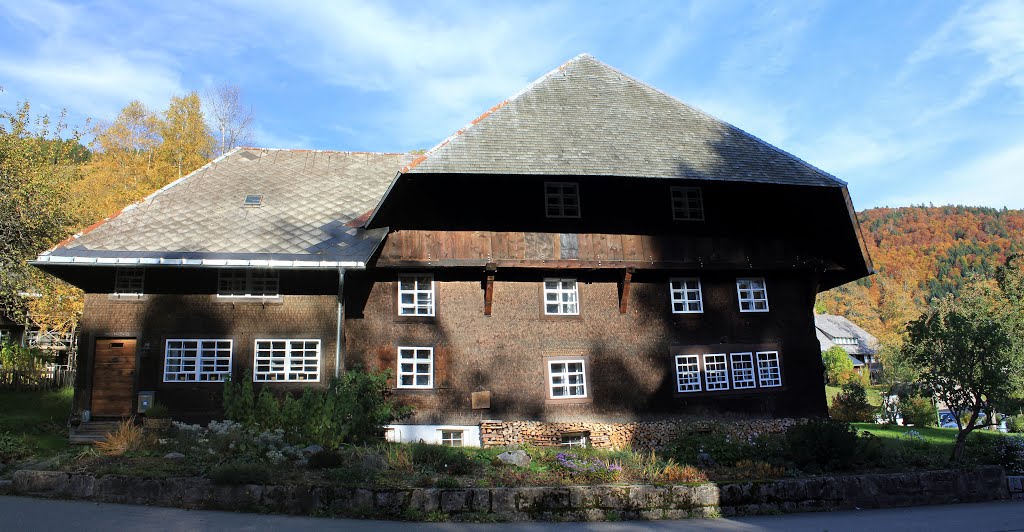 Naglerhof in Bernau-Hof, Schwarzwald by Tom Cul