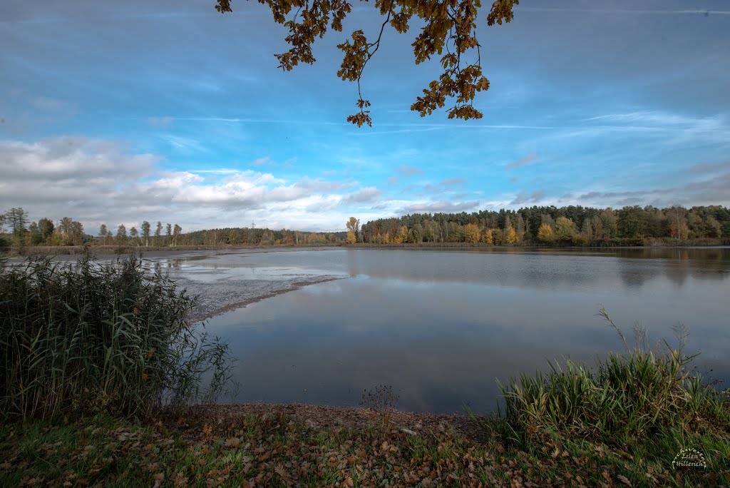 Karpfenteich Greislweier by Archiverlen