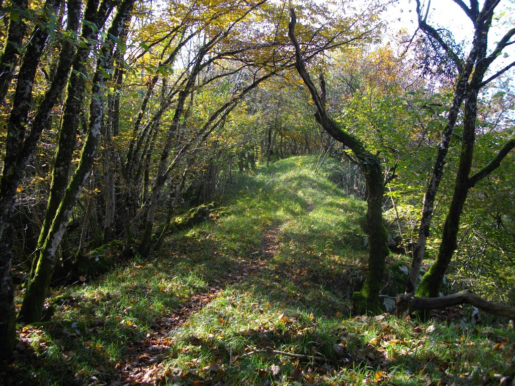 Sentier de corniche dans le bois des Rechots by Claudius B.