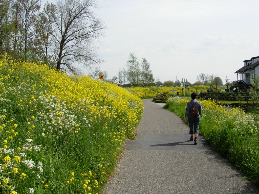 Oude Zuiderlingedijk, 2008-04-27 by jvlaren